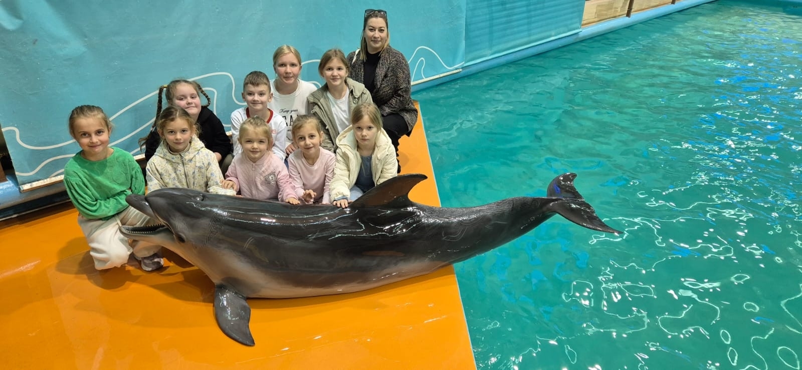 Экскурсия в Геленджикский дельфинарий